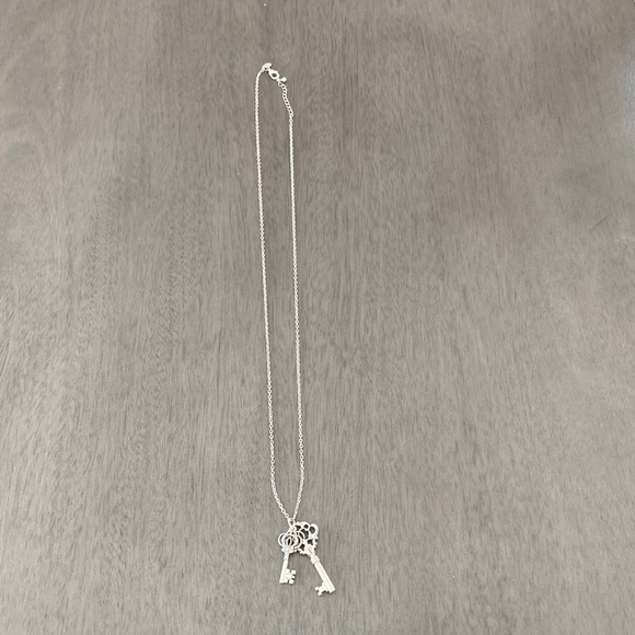 American Eagle Outfitters Jewelry - 🆕American Eagle Outfitters Long Necklace